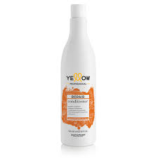 YE REPAIR SHAMPOO 500ml