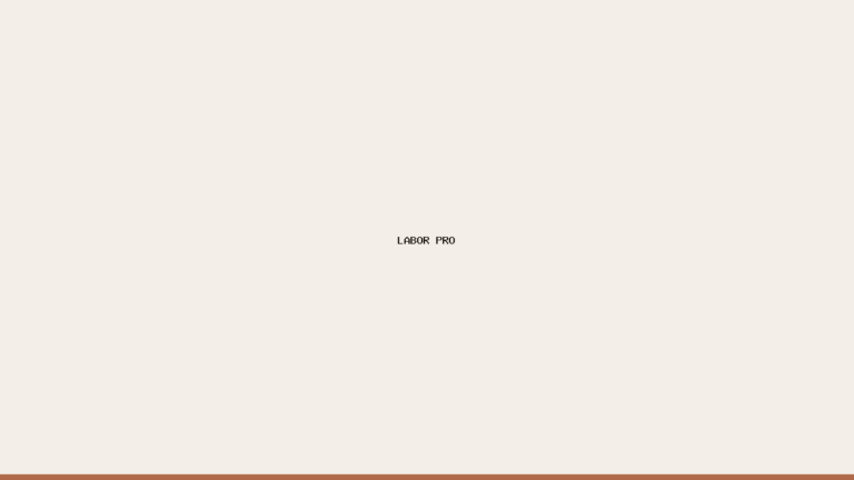 Labor Pro